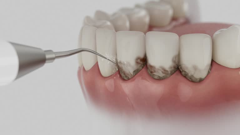 Reliable Dental contractor in Belvedere, SC by Dentist Open Now